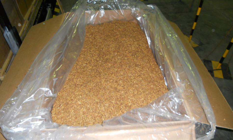 2013-1-16-1148Snímek 016.jpg